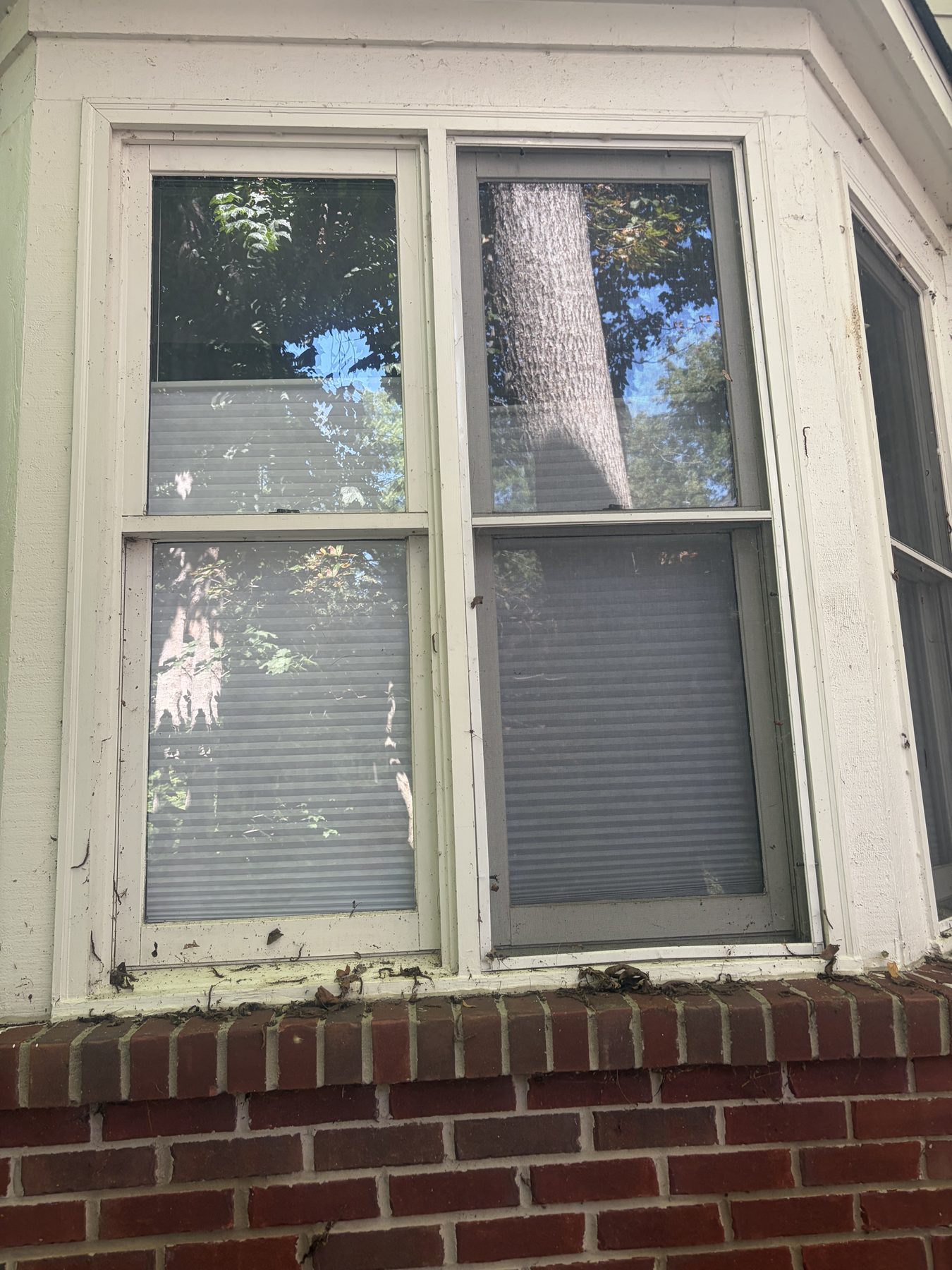 Before professional window washing